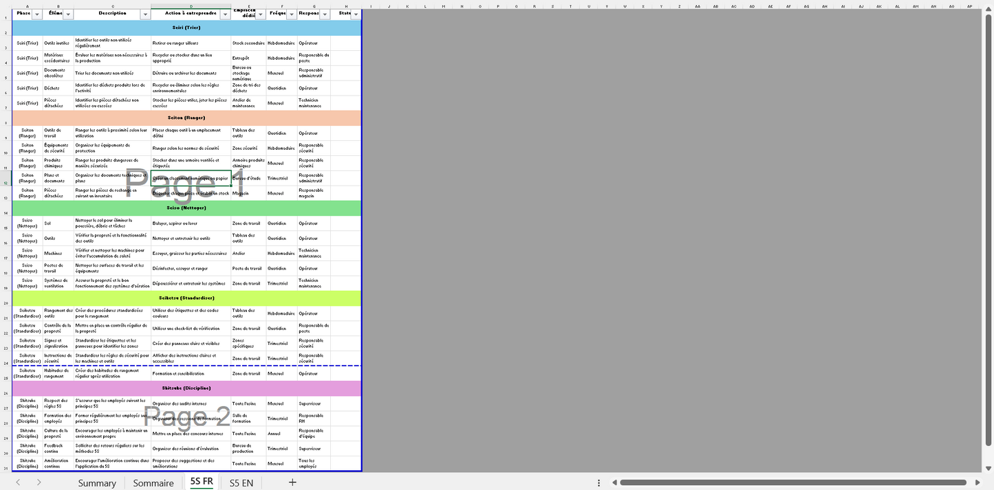 Exemple de modèle 5S en Excel pour audit / 5S Excel template example for audit