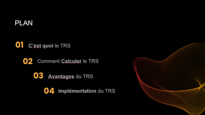 Plan détaillé du Taux de Rendement Synthétique (TRS) avec sections sur définition, calcul, avantages et mise en œuvre.