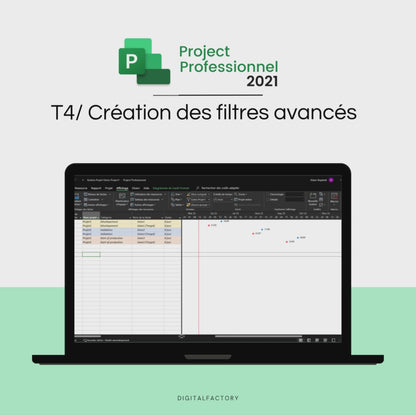 T4/ MS Project: Creating advanced filters - Tutorial