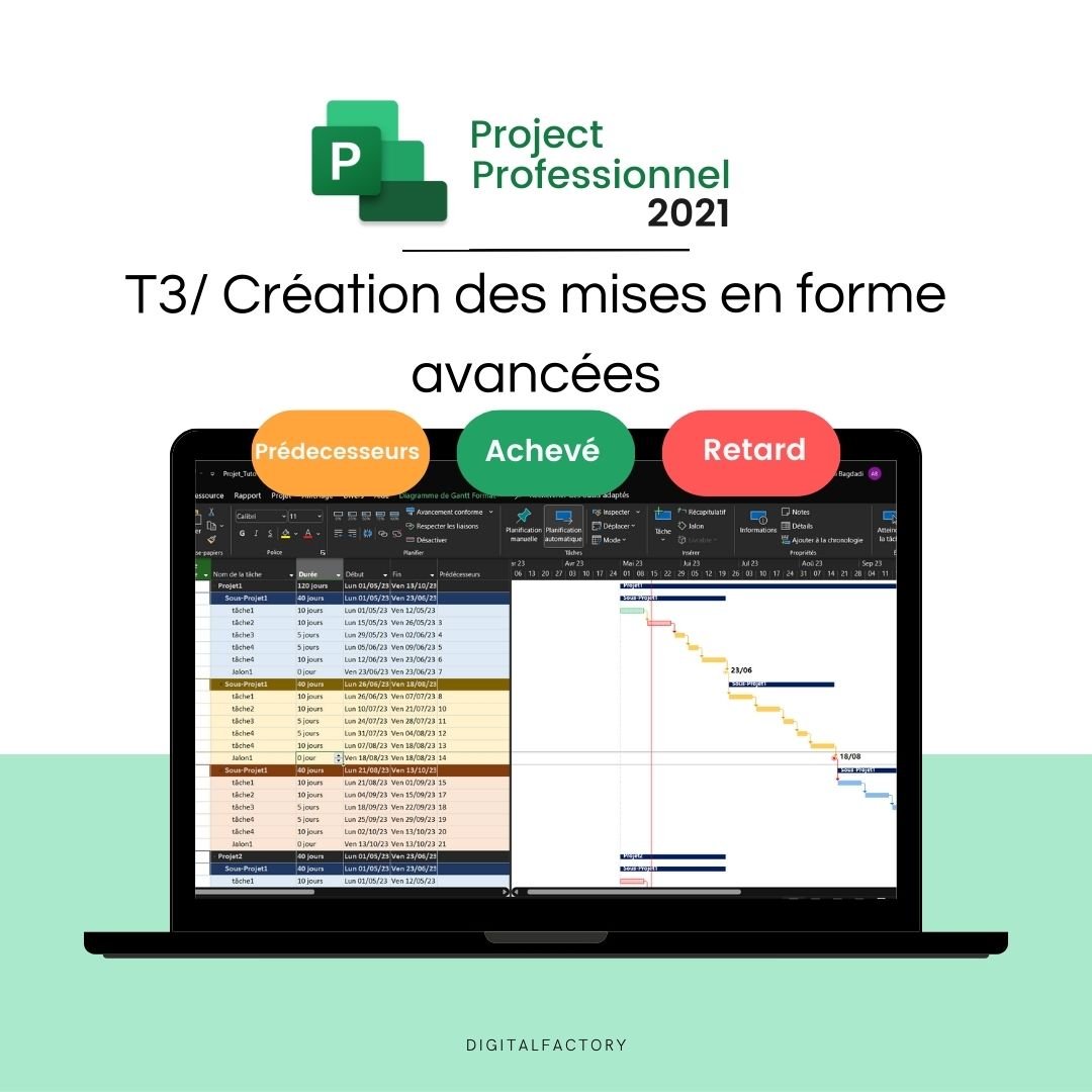 MS Project Advanced Tutorial - Advanced Gantt Formatting